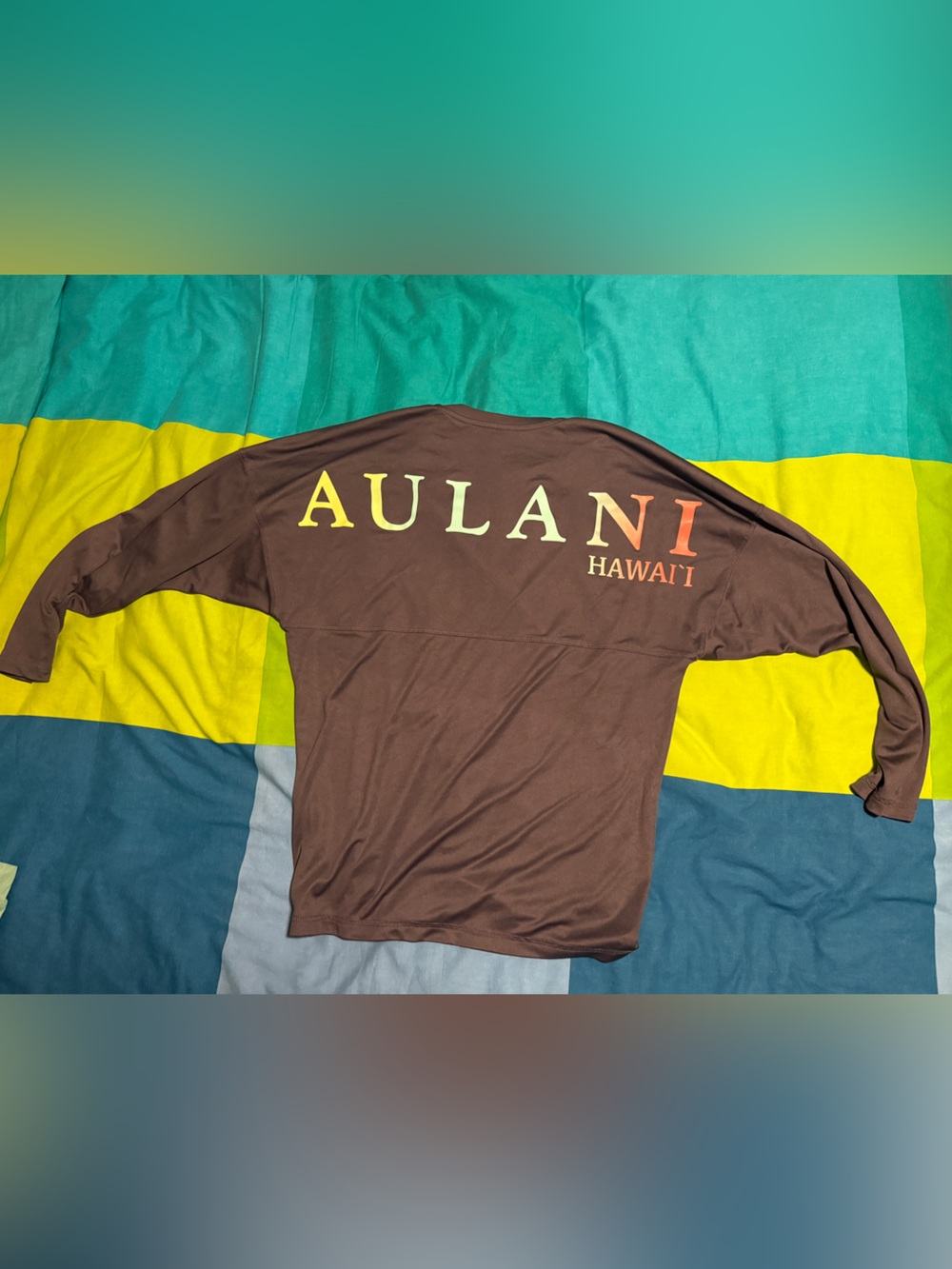 Disney Men’s Brown Aulani Hawaii Long-Sleeve Rash Guard